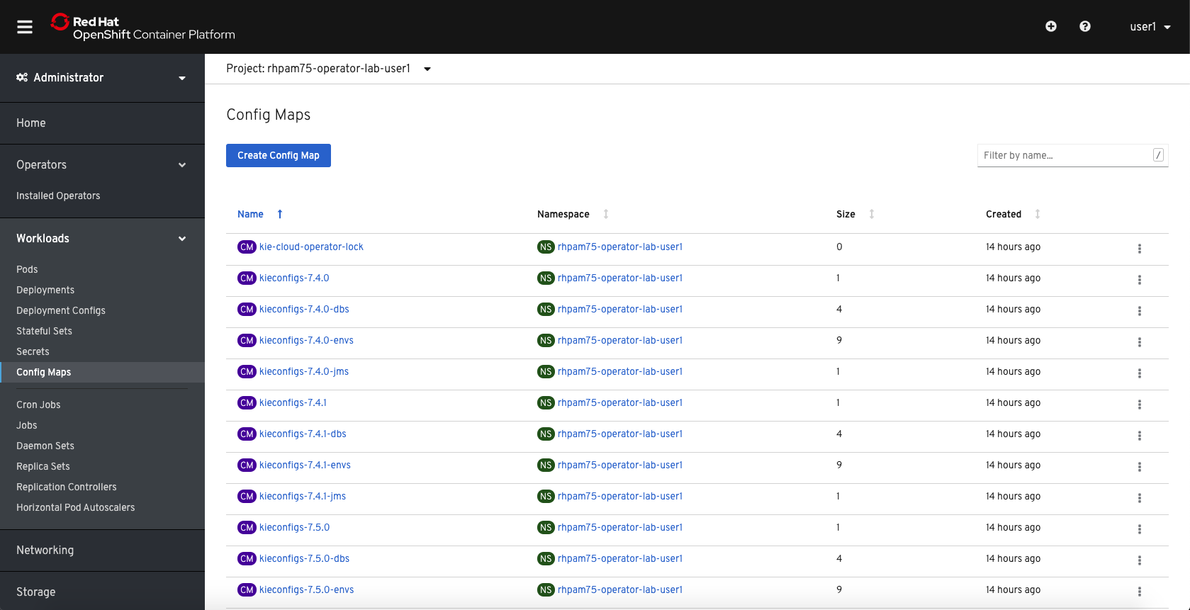 ConfigMaps and Deleteting Projects - Learning Business Automation